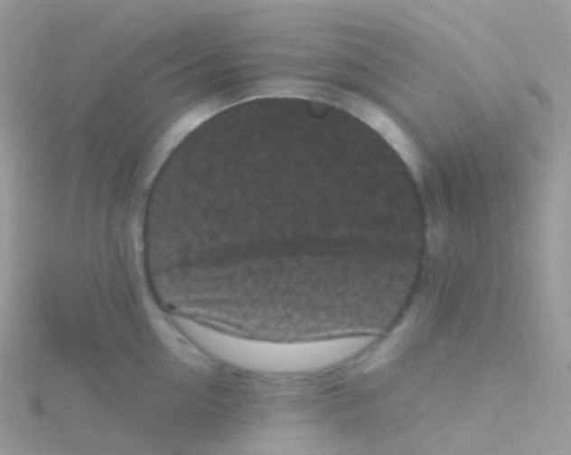 X0000115040954200911231130