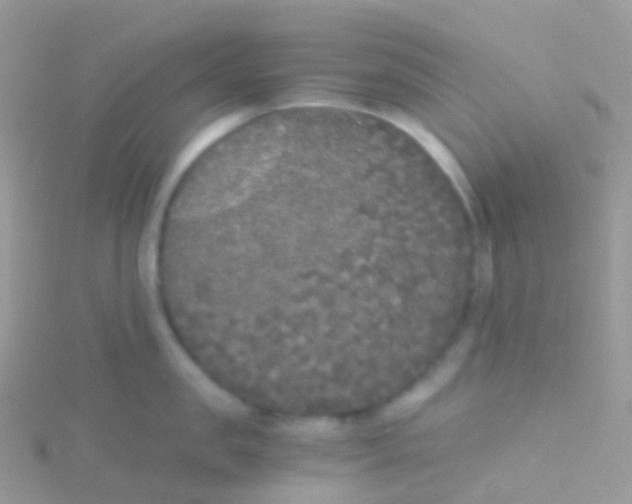 X0000115040957200911231130