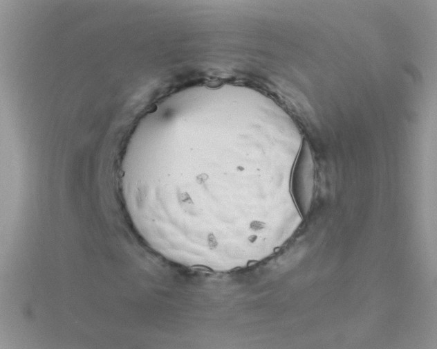 X0000115040961200911231129