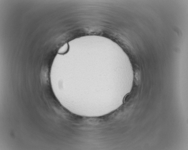 X0000115040963200911231129