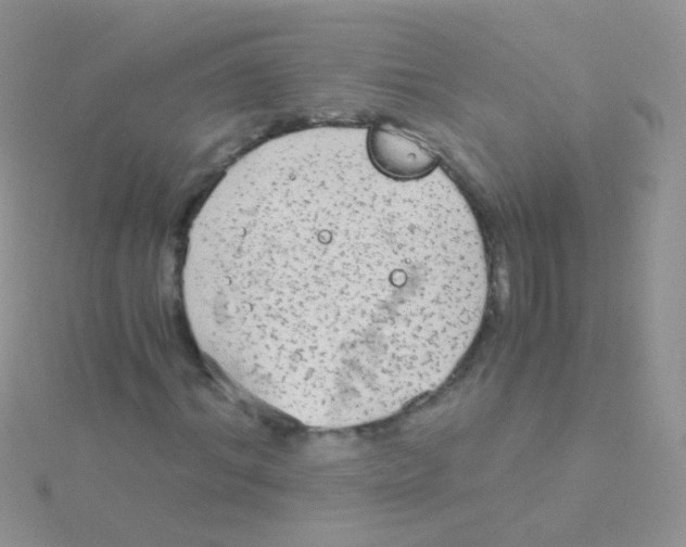 X0000115040964200911231129