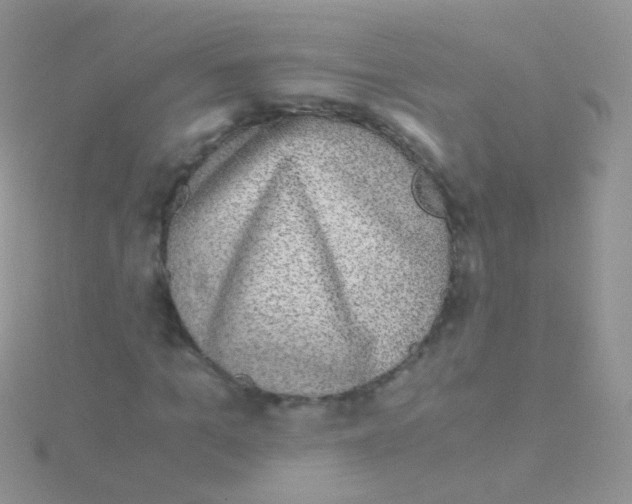 X0000115040965200911231129