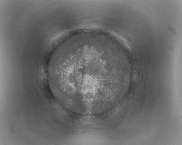 X0000115040966200911231129