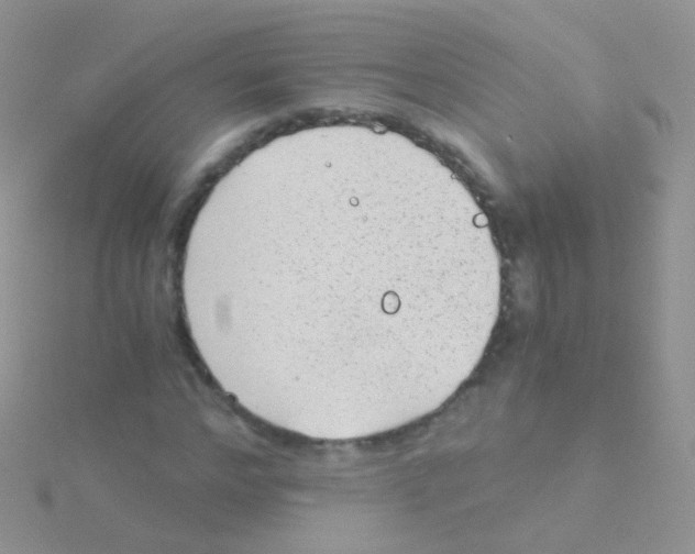 X0000115040968200911231129