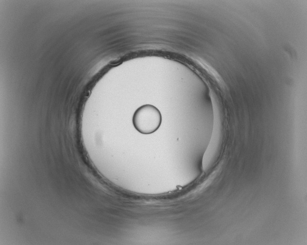 X0000115040969200911231129