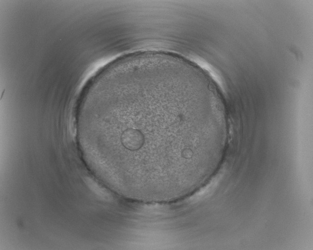 X0000115040973200911231129