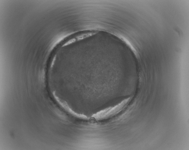 X0000115040975200911231129