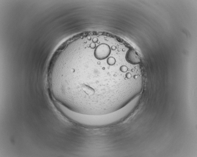 X0000115040976200911231129