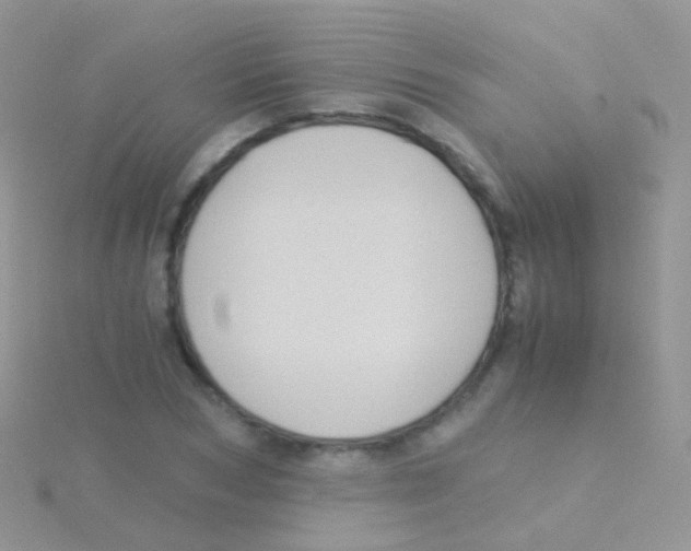 X0000115040978200911231129