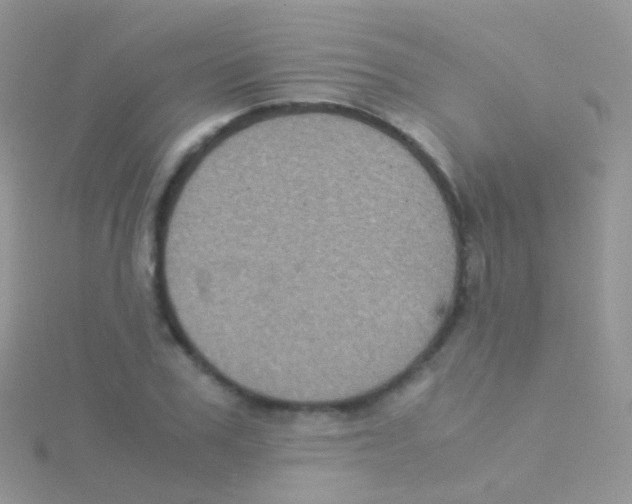 X0000115040979200911231129