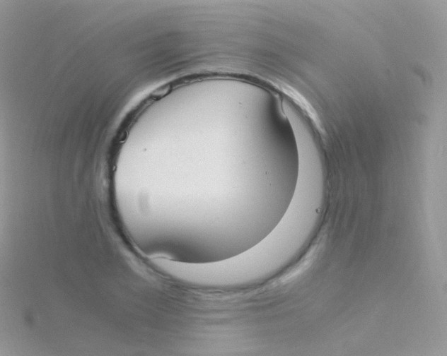 X0000115040981200911231129