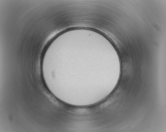 X0000115040982200911231129