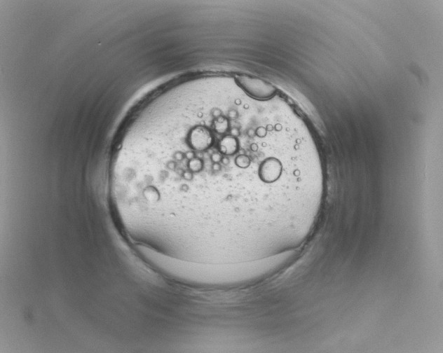 X0000115040984200911231129