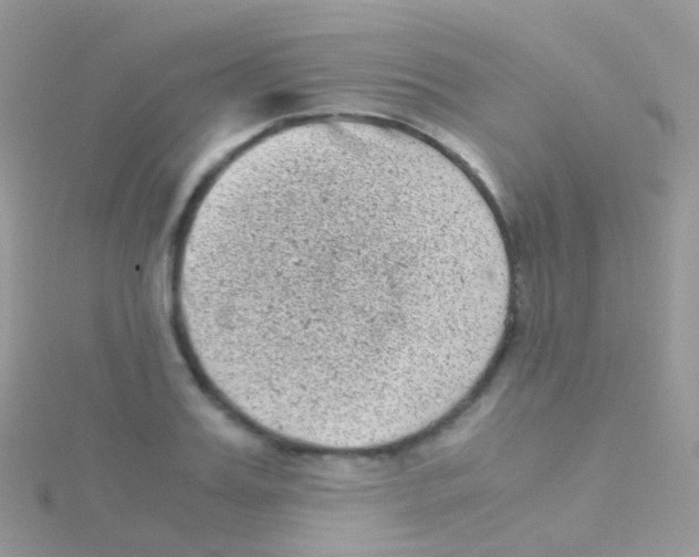 X0000115040987200911231129