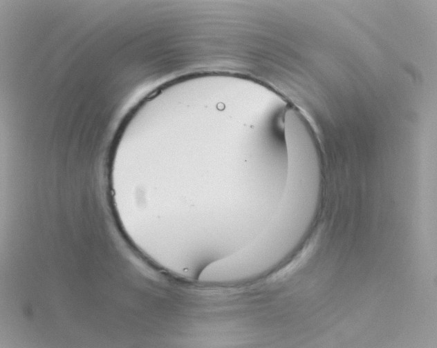 X0000115040989200911231129