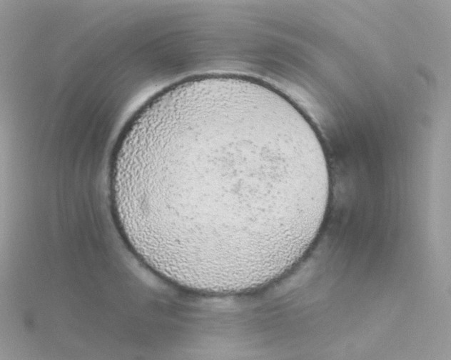 X0000115040990200911231129