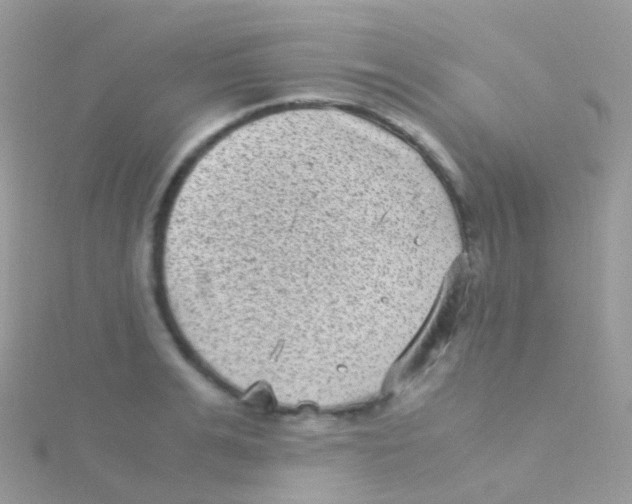 X0000115040991200911231129