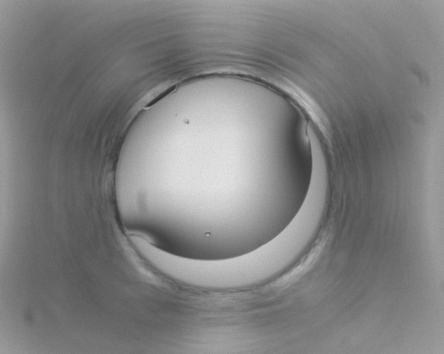 X0000115040993200911231129