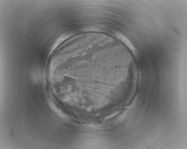 X0000115040994200911231129