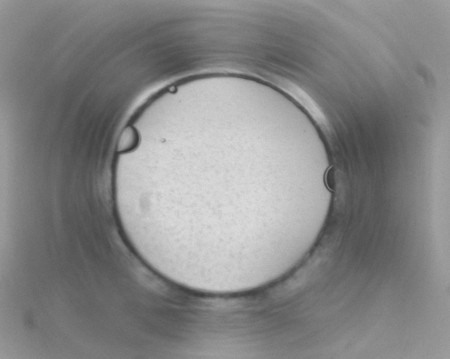 X0000115040996200911231129