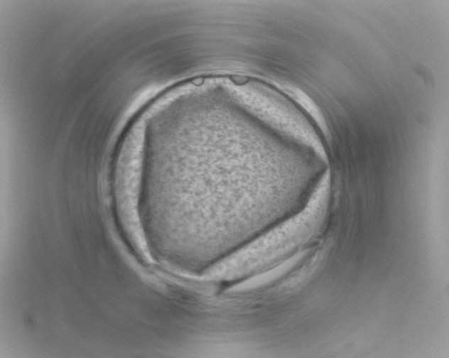 X0000115040997200911231129