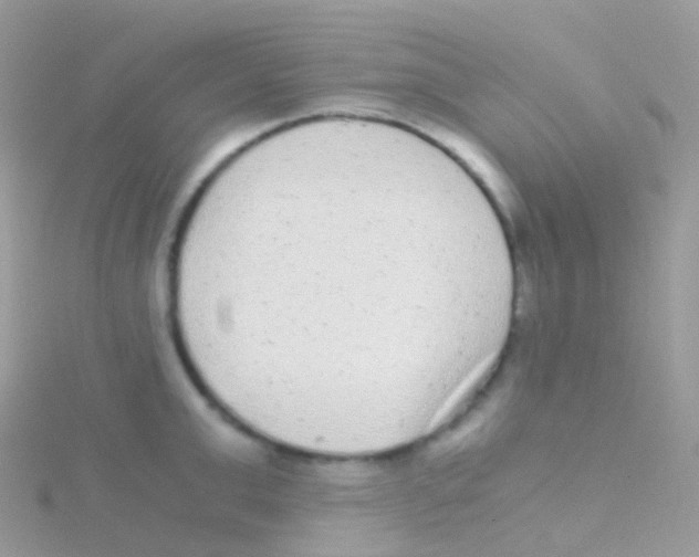 X0000115040999200911231129