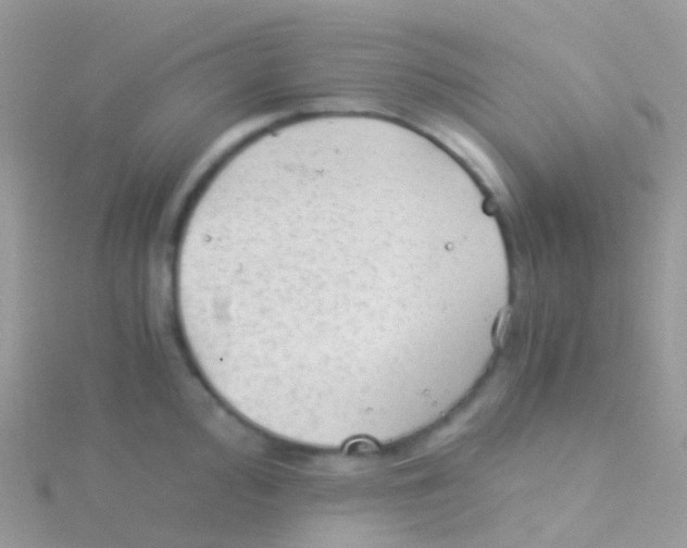 X0000115041000200911231129