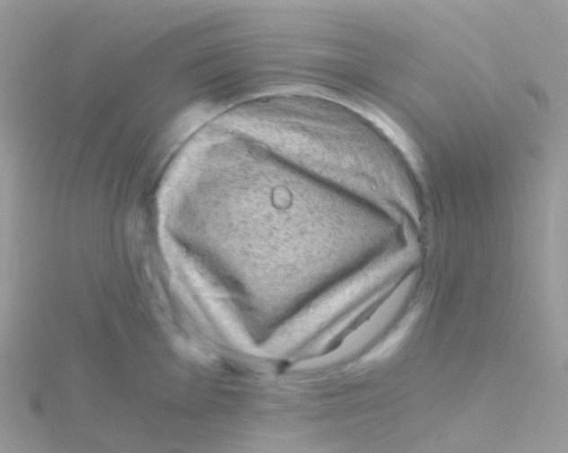 X0000115041001200911231129