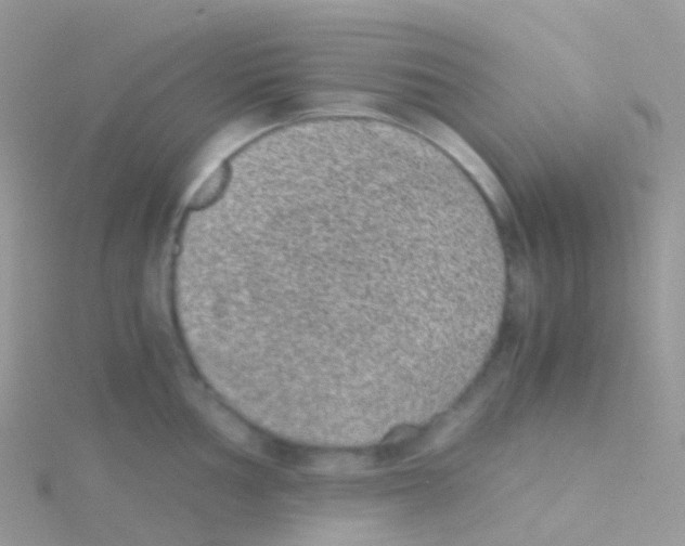 X0000115041002200911231129