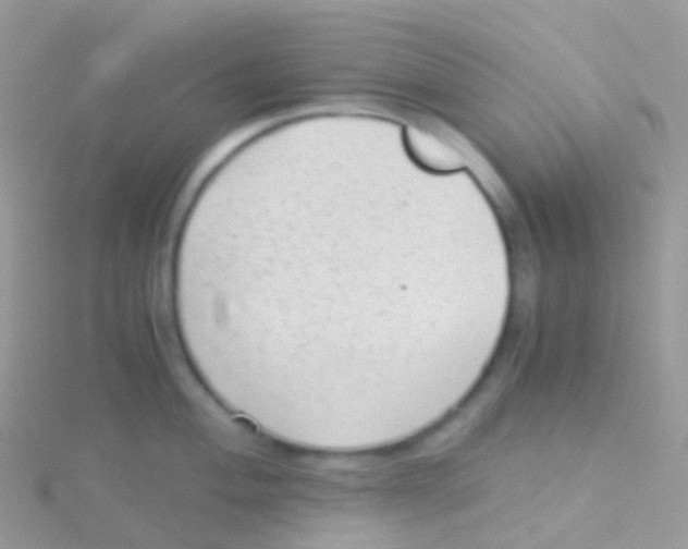 X0000115041004200911231129