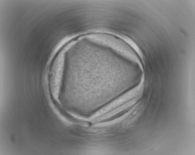 X0000115041005200911231129