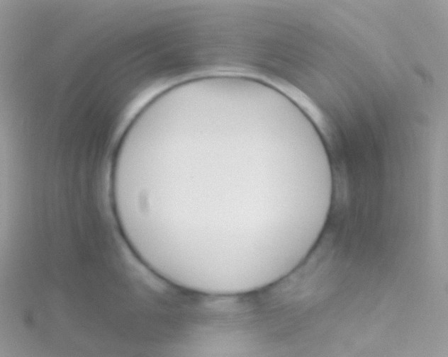 X0000115041006200911231129