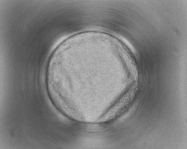 X0000115041007200911231129