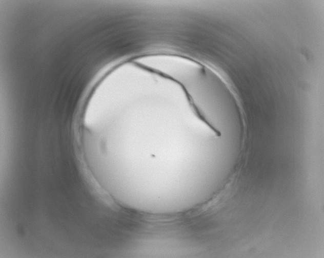 X0000115041008200911231129