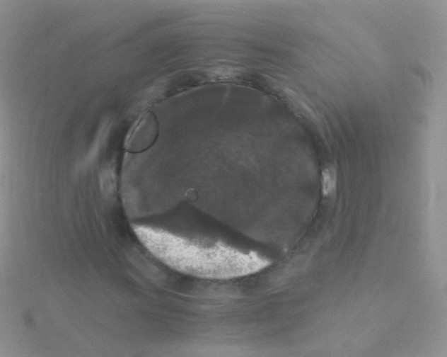 X0000115041011200911231128