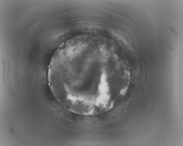 X0000115041013200911231128