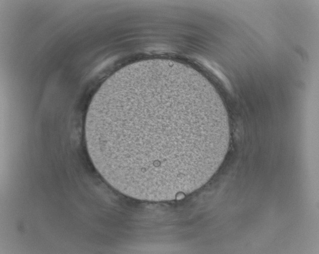 X0000115041015200911231128