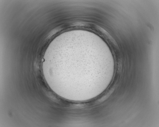 X0000115041017200911231128