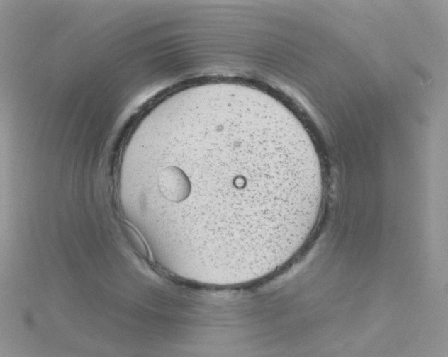 X0000115041018200911231128