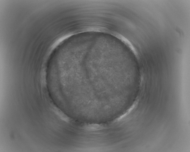 X0000115041019200911231128