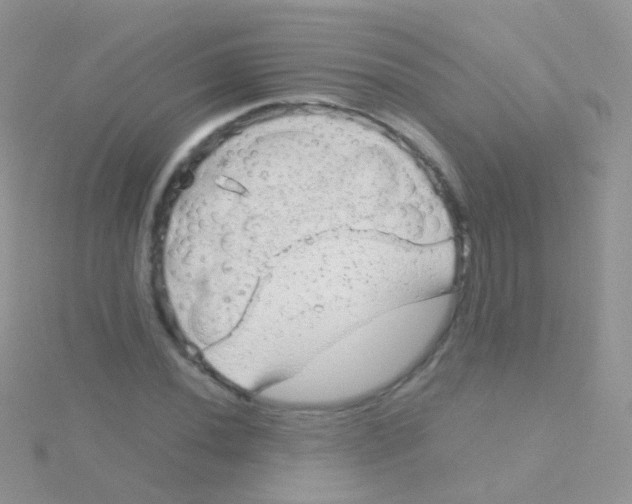 X0000115041020200911231128