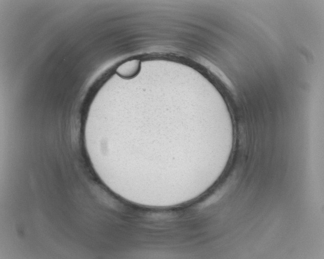 X0000115041021200911231128