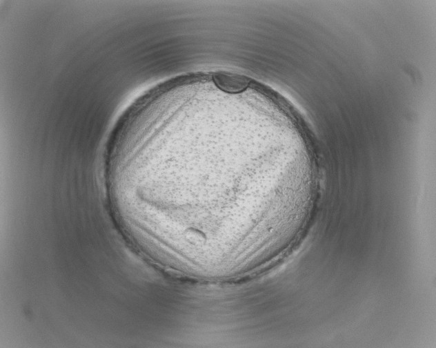 X0000115041022200911231128