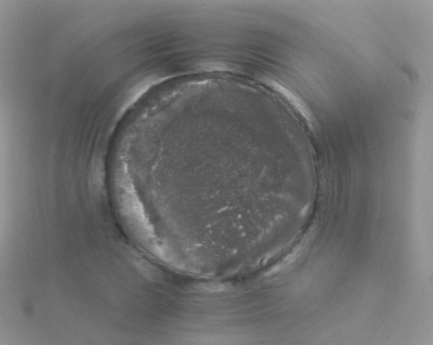 X0000115041023200911231128