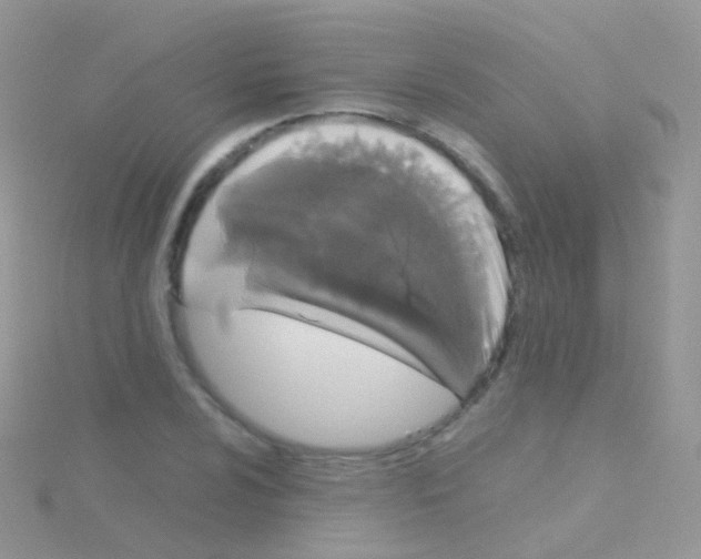 X0000115041024200911231128