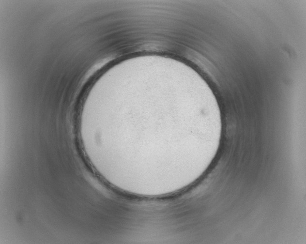 X0000115041026200911231128