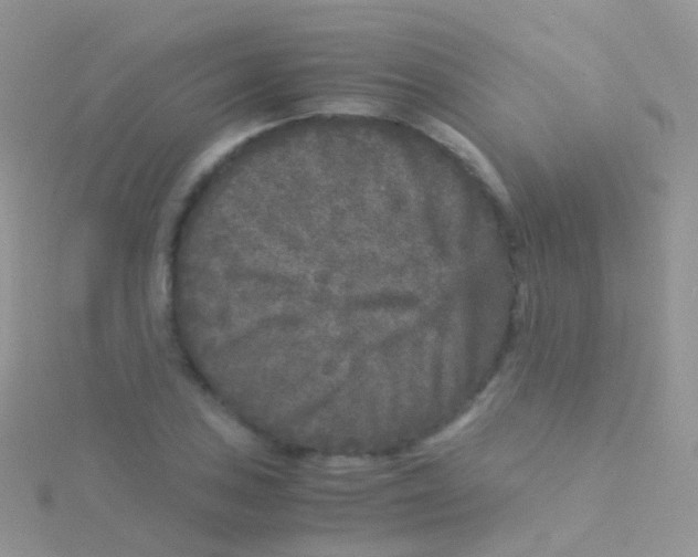 X0000115041027200911231128