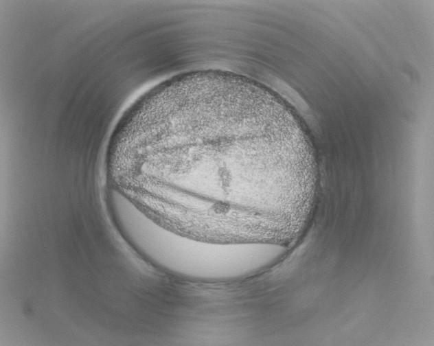 X0000115041028200911231128