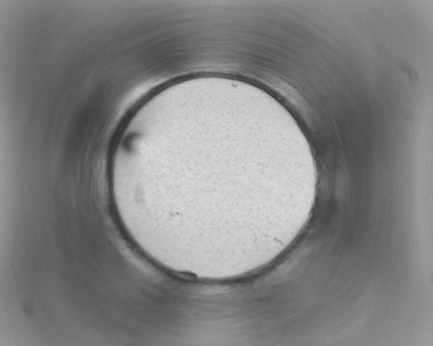 X0000115041030200911231128