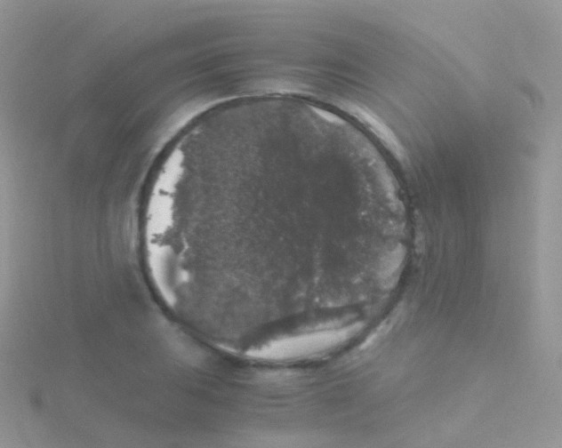 X0000115041031200911231128